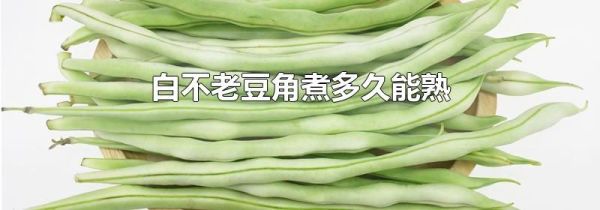 白不老豆角煮多久能熟