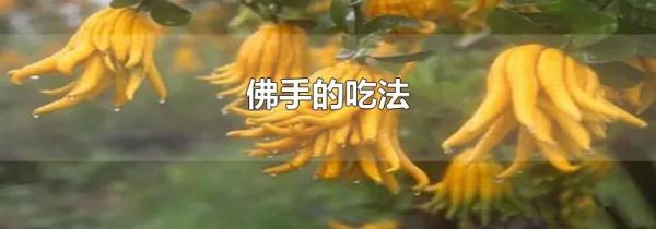 佛手的吃法