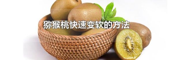 猕猴桃快速变软的方法