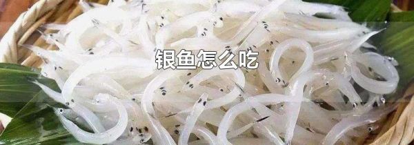 银鱼怎么吃