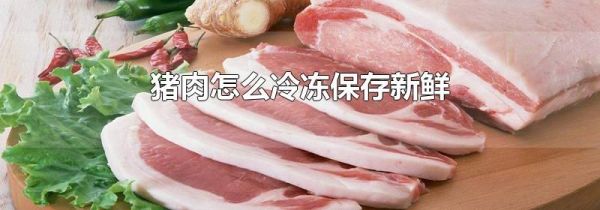 猪肉怎么冷冻保存新鲜