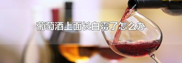 葡萄酒上面长白霉了怎么办