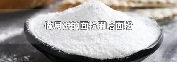 做月饼的面粉用啥面粉