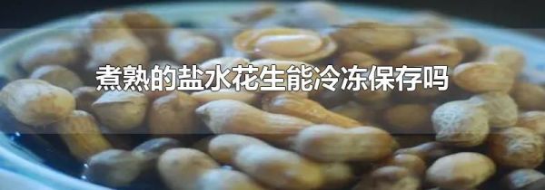 煮熟的盐水花生能冷冻保存吗