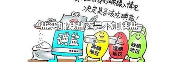 盐买加碘盐还是不加碘盐