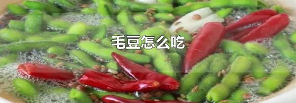 毛豆怎么吃