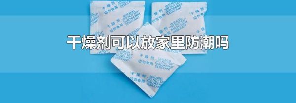 干燥剂可以放家里防潮吗