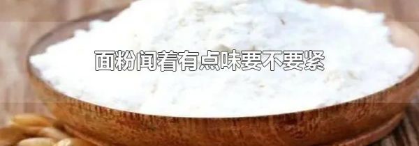 面粉闻着有点味要不要紧