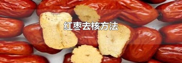 红枣去核方法