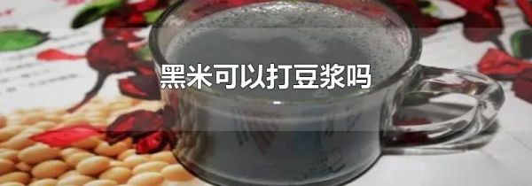 黑米可以打豆浆吗