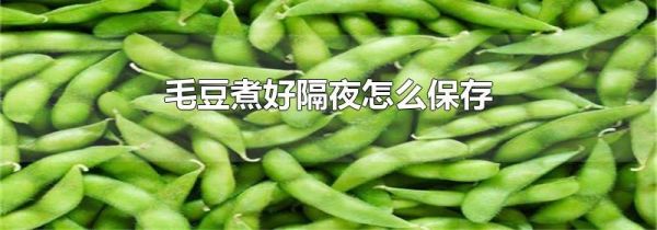 毛豆煮好隔夜怎么保存
