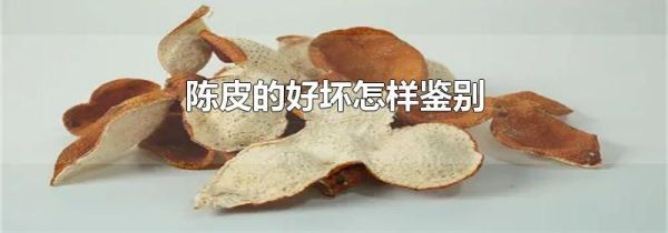 陈皮的好坏怎样鉴别