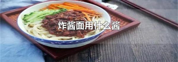 炸酱面用什么酱