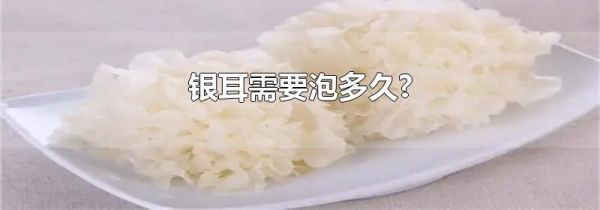 银耳需要泡多久?