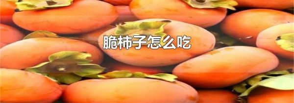 脆柿子怎么吃