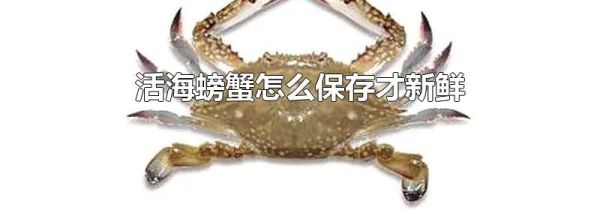 活海螃蟹怎么保存才新鲜