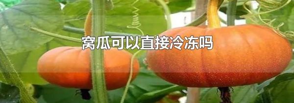 窝瓜可以直接冷冻吗