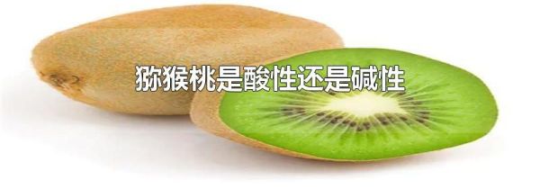 猕猴桃是酸性还是碱性
