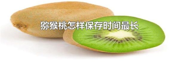 猕猴桃怎样保存时间最长