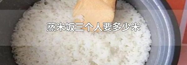 蒸米饭三个人要多少米