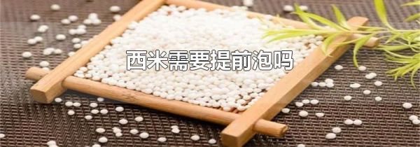 西米需要提前泡吗