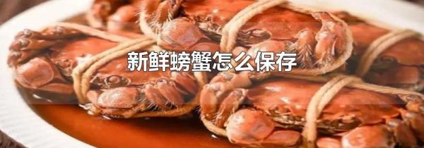 新鲜螃蟹怎么保存