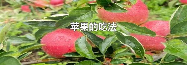 苹果的吃法