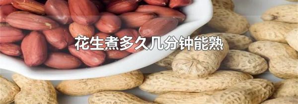 花生煮多久几分钟能熟