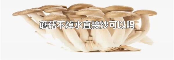 蘑菇不焯水直接炒可以吗
