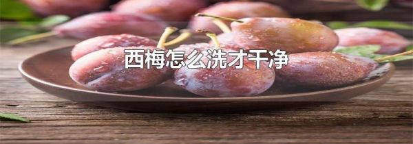 西梅怎么洗才干净