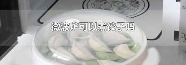 微波炉可以煮饺子吗