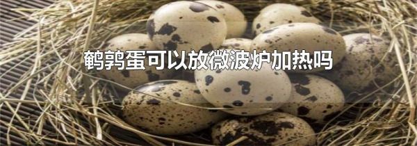 鹌鹑蛋可以放微波炉加热吗