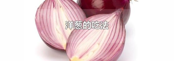 洋葱的吃法