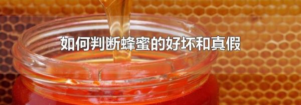 如何判断蜂蜜的好坏和真假