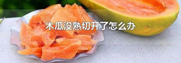 木瓜没熟切开了怎么办