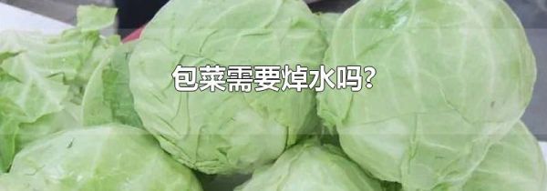 包菜需要焯水吗?