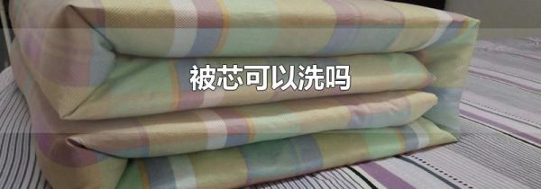 被芯可以洗吗