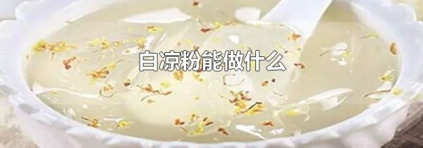 白凉粉能做什么