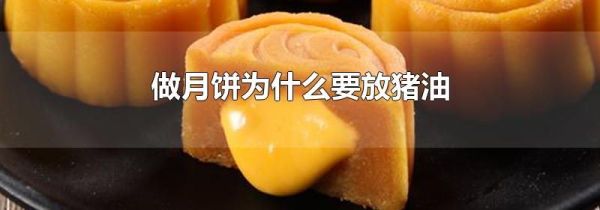 做月饼为什么要放猪油