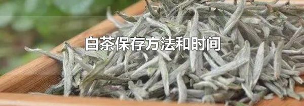 白茶保存方法和时间