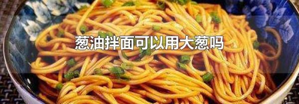 葱油拌面可以用大葱吗