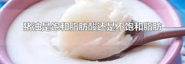 猪油是饱和脂肪酸还是不饱和脂肪