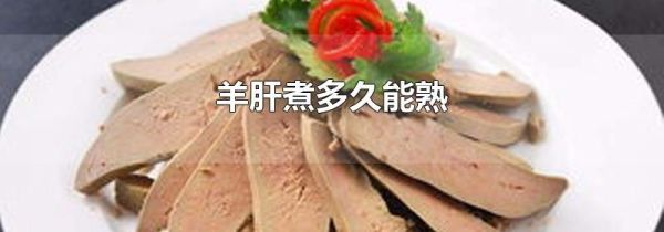 羊肝煮多久能熟