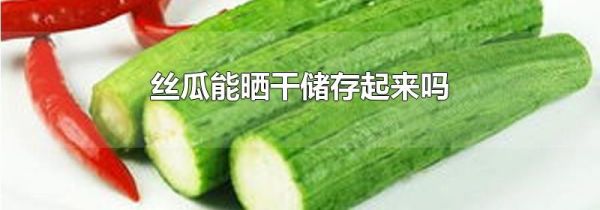 丝瓜能晒干储存起来吗