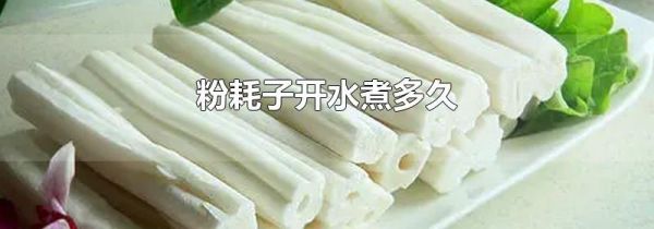 粉耗子开水煮多久