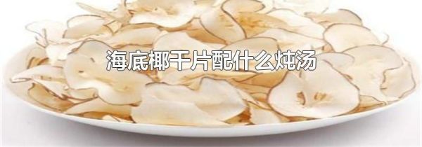 海底椰干片配什么炖汤