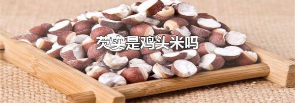 芡实是鸡头米吗