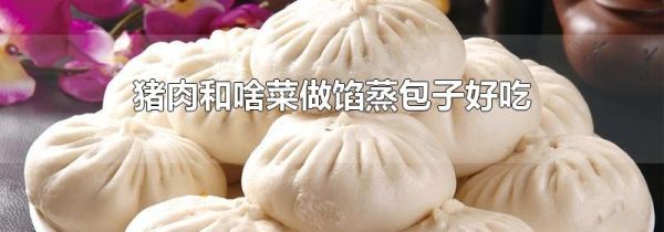 猪肉和啥菜做馅蒸包子好吃