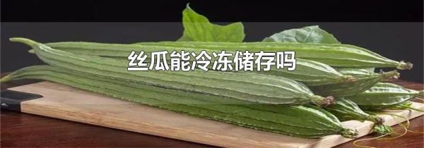 丝瓜能冷冻储存吗