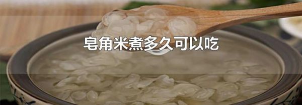 皂角米煮多久可以吃